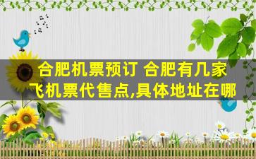 合肥机票预订 合肥有几家飞机票代售点,具体地址在哪